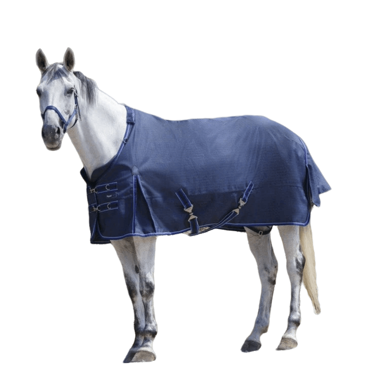 Entdecke Equitheme's sehr preiswerte Pferdedecke: 100% wasserdicht, atmungsaktiv & bequem für dein Pferd. Jetzt kaufen und sparen! 🐎
