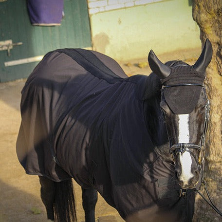 MeshFit horse blanket 