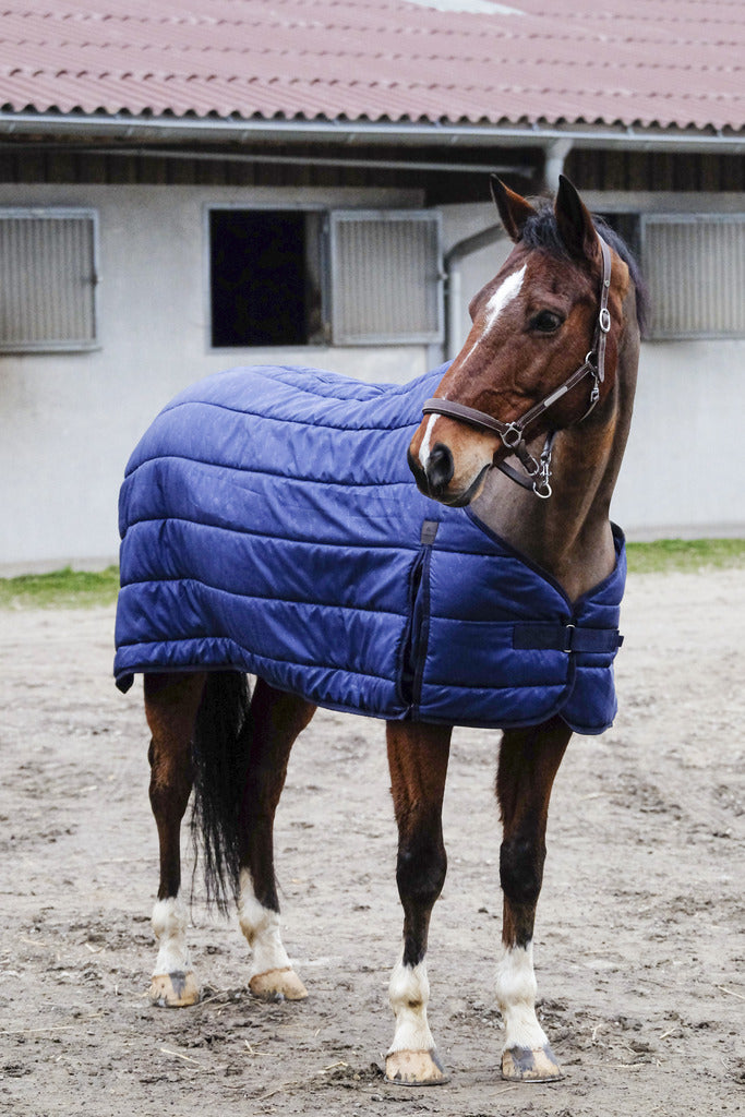 CLASSIC horse under blanket 50GR