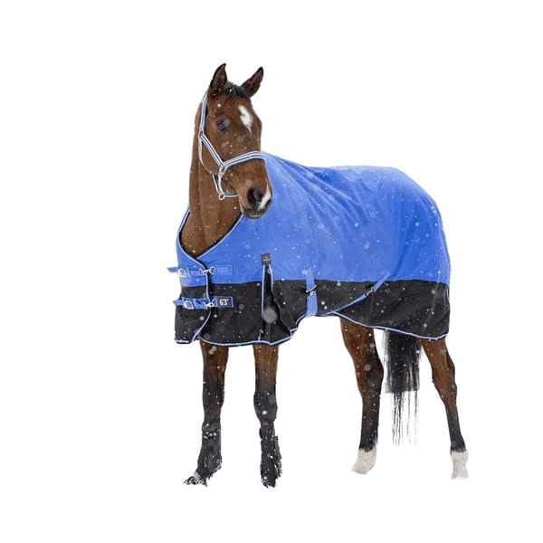 WINTER HORSE BLANKET AISANCE TYREX 1200D 100GR