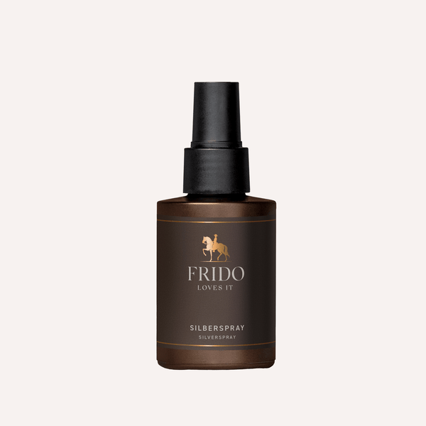 FRIDO LOVES IT Silberspray 100 ml Flasche freigestellt