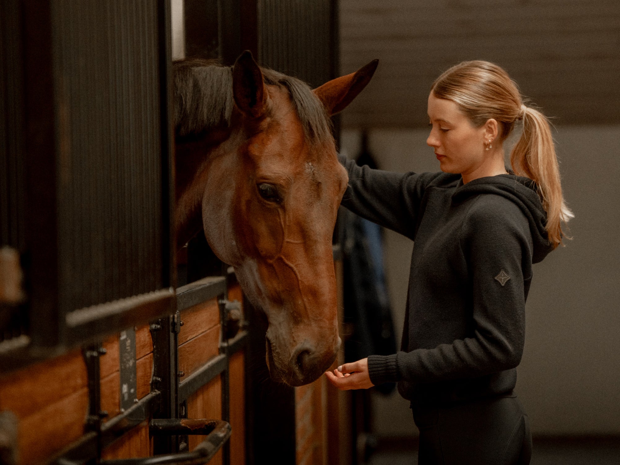 Reiterin mit Pferd in der Stallgasse – persönliche Beratung bei Equinista