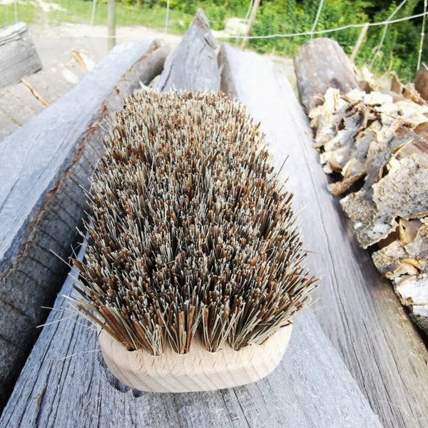 MeNature Kardätsche "Bolo" klein