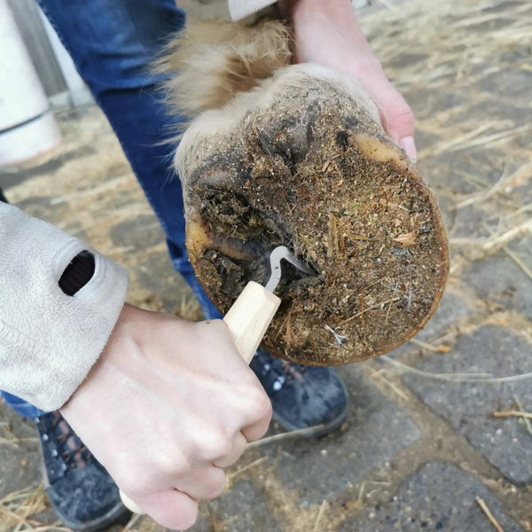 MeNature Hoof Pick “Cord”