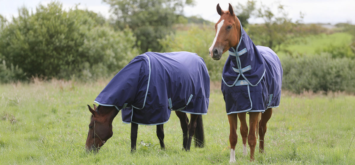 Bucas Atlantic Exclusive Turnout in Navy/Hellblau