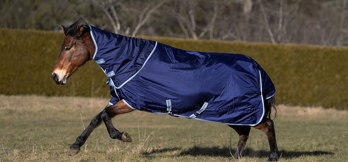 Bucas Atlantic Exclusive Turnout in Navy/Hellblau, Pferd im Galopp