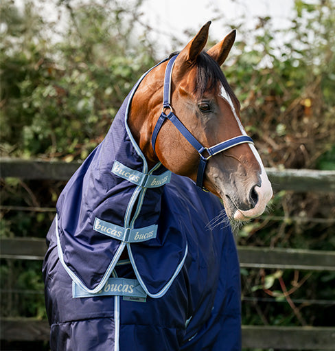 Bucas Atlantic Exclusive in Navy/Hellblau mit Halsteil