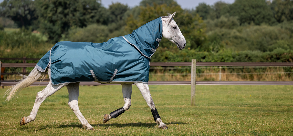 Bucas Atlantic Turnout in Grün, Pferd im Galopp