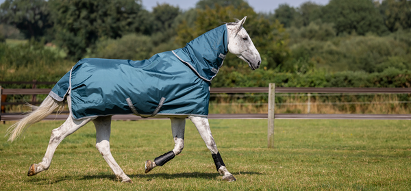Bucas Atlantic Turnout in Grün, Pferd im Galopp