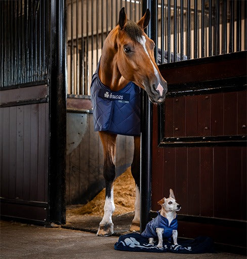 Bucas Cosy Stable Stalldecke in Navy in der Box