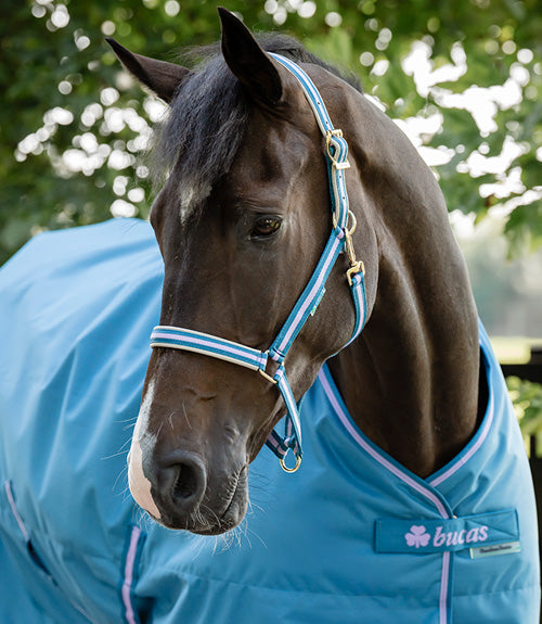 Bucas Freedom Turnout in Blueberry, Nahaufnahme