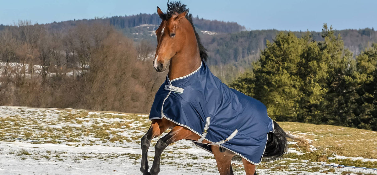Bucas Freedom Turnout in Navy/Silber im klassischen Schnitt