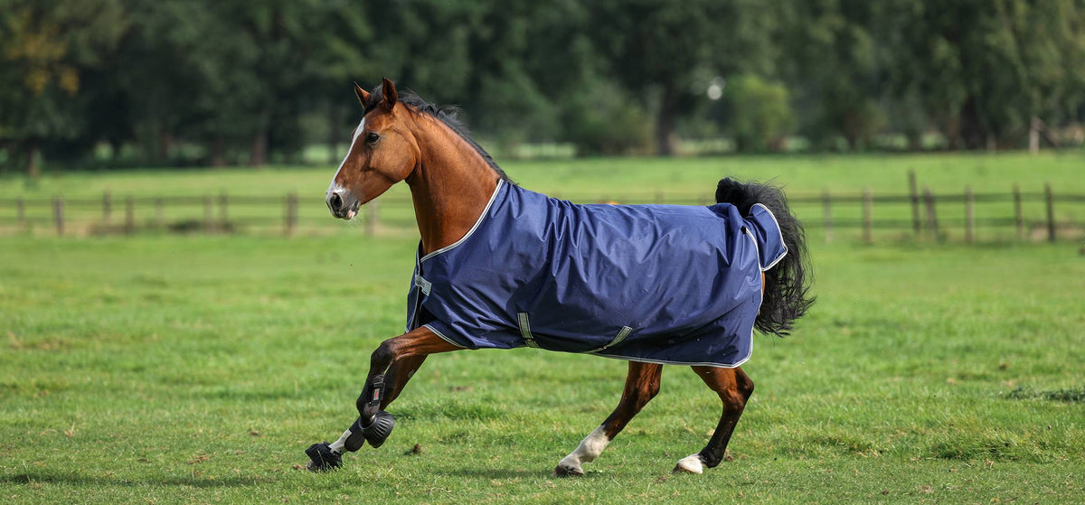 Bucas Freedom Turnout in Navy/Silber, Pferd im Trab