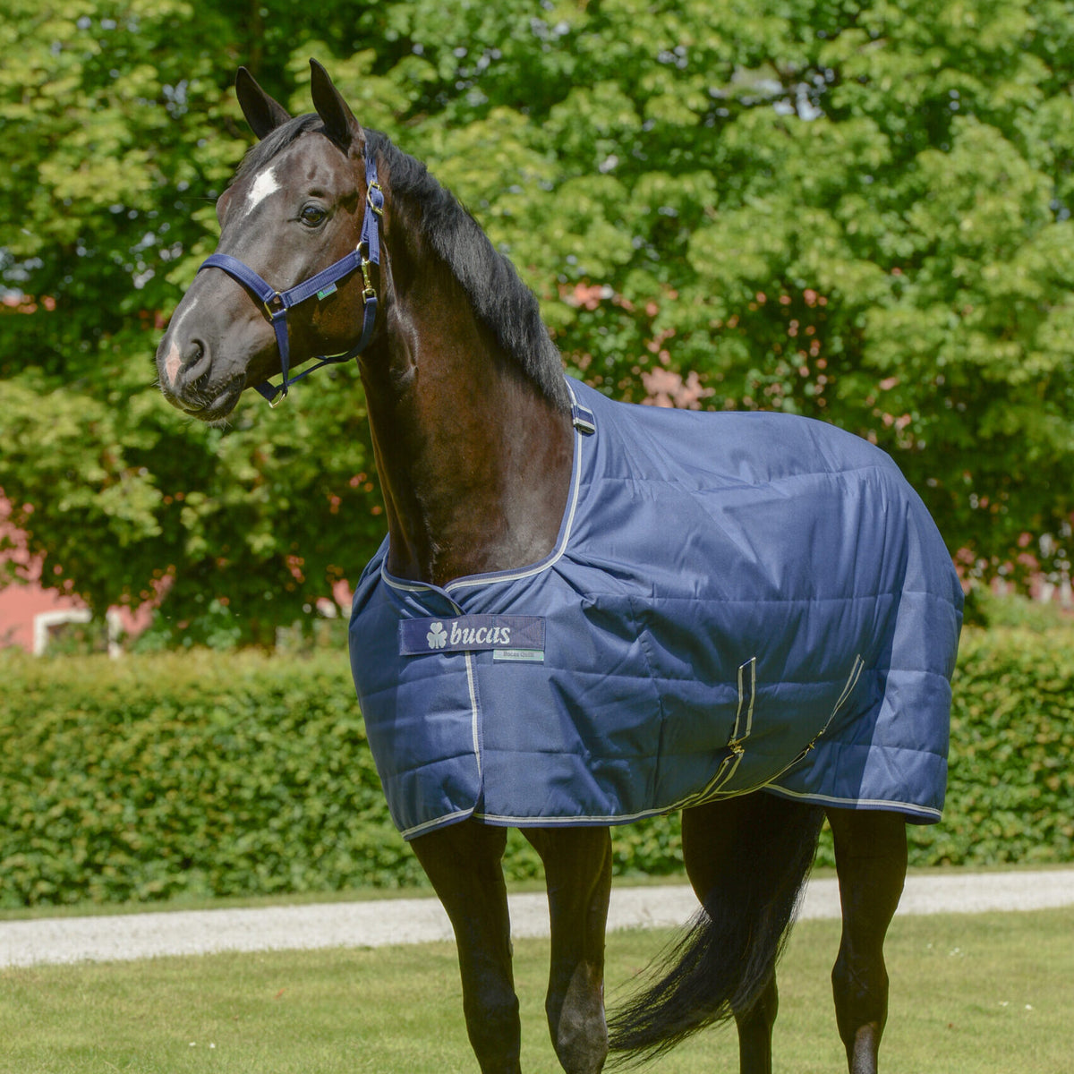 Bucas Quilt Stalldecke in Navy