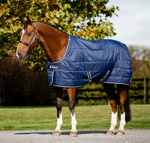 Bucas Quilt Stalldecke in Navy am Pferd