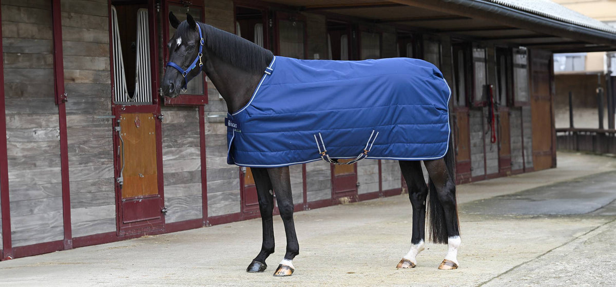 Bucas Quilt Stalldecke in Navy vor dem Stall