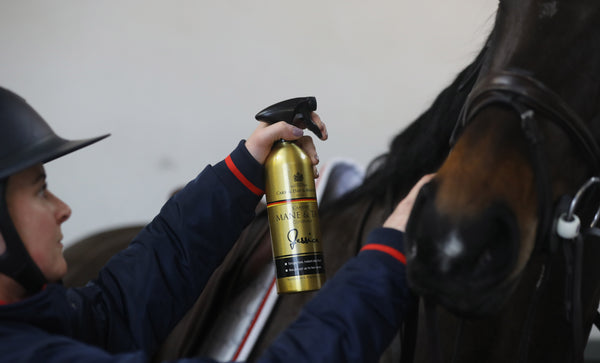 Canter Mane Tail limited edition gold bottle