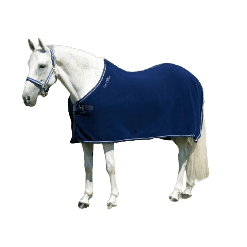 Cheap & effective The best sweat rugs for horses!!