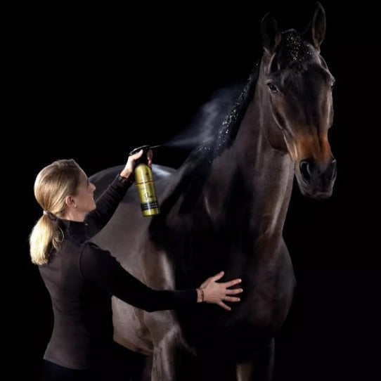 Canter Mane Tail limited edition gold bottle