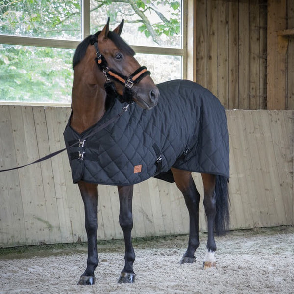 PADDOCK "PADDED" STALLDECKE 200gramm in schwarz auf einem braunem Wallach.