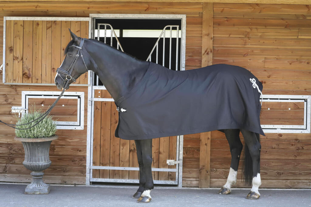 Ein Pferd mit einer schwarzen Paradedecke steht vor einer modernen Stallbox.