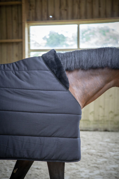 Paddock Unterdecke mit Fellteil