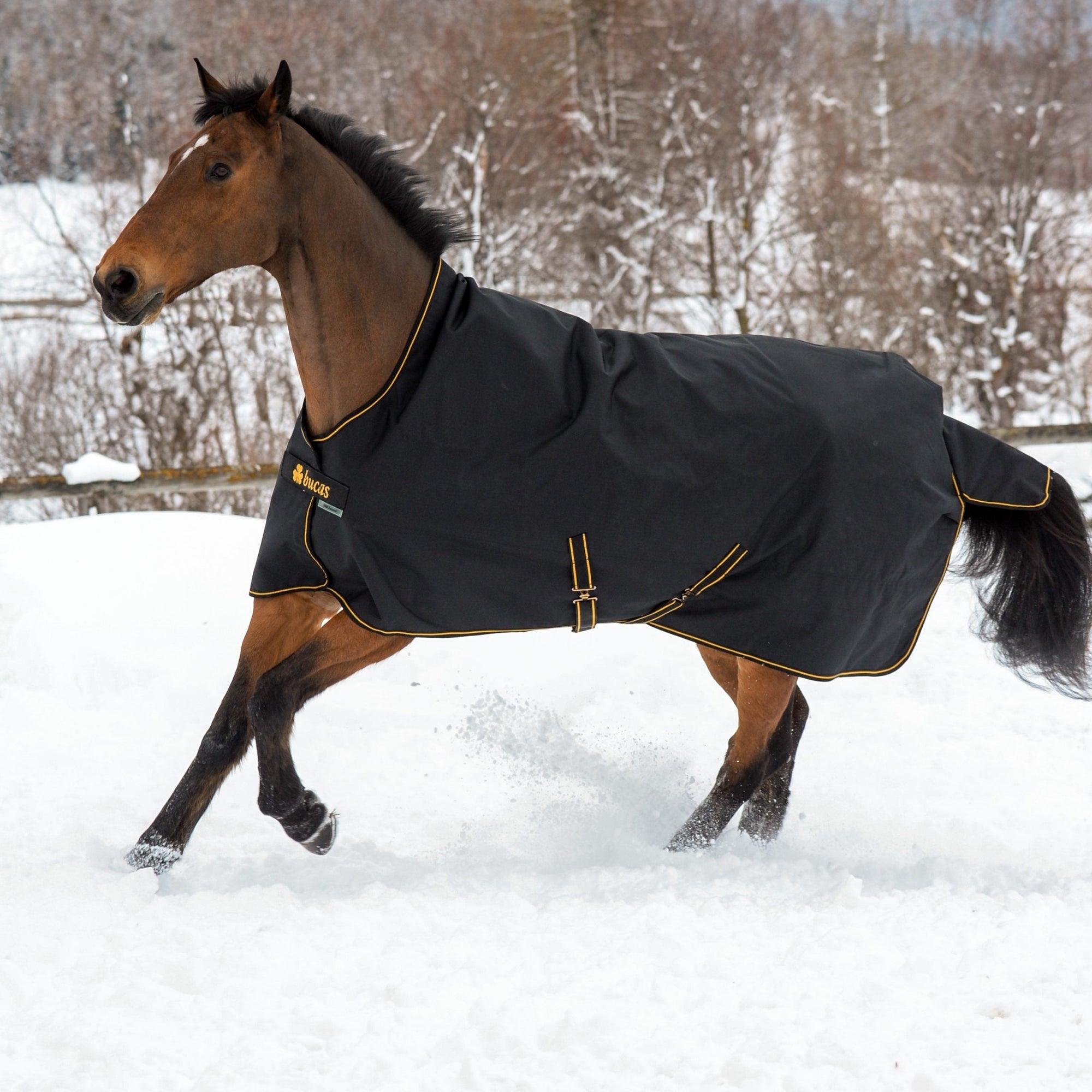 BUCAS IRISH TURNOUT 300g mit einem braunem Pferd im Schnee