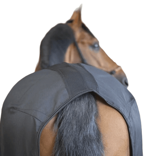 Entdecke unsere sehr preiswerte Pferdedecke: Leicht, komfortabel & atmungsaktiv für Widerrist & Wirbelsäule! Perfekt für den Paddock. Jetzt kaufen!