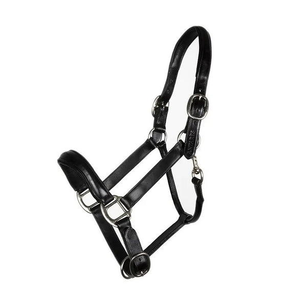 Antarès leather halter NOIR