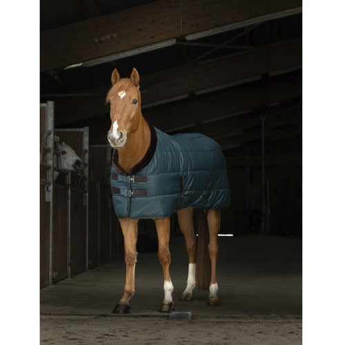 Equitheme Teddy Stalldecke in grün