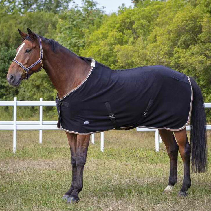 Discover the inexpensive & multifunctional Equitheme horse blanket